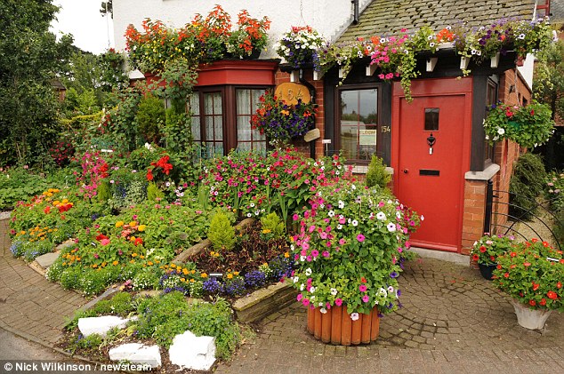 Ӣ���Ϻ���С������2��͵�����