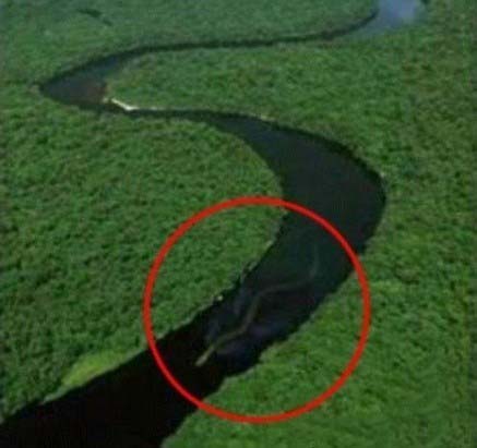 ���������ؾ��������������� ����Ȥ��