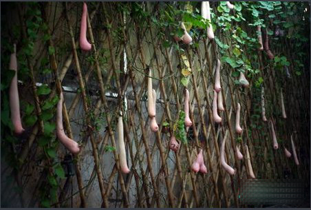 ��������Խ�����������𣿣���ͼ��