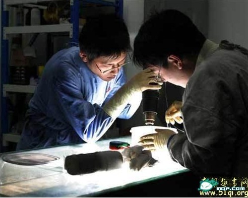 ʬ�岩��� ����ʬ��ӹ��ֳ� ��С���룡