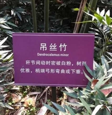 ĳ����̩��Է������ ��Ϲ����ۣ�ͼ��