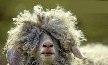 �����˲�����������ʿ ��ЦȤͼ