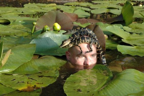 ���Ⱞ��� ��񿪷ŵ����� ��ЦͼƬ