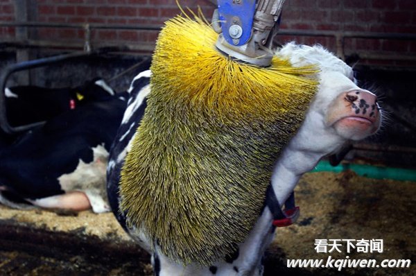 ʵ�Ķ�����Ȥ˲�䣬�ȷ���