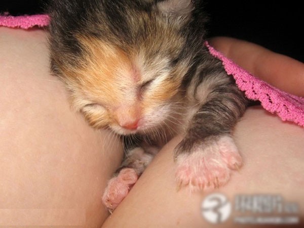 ��Ů������������ĳ����˹���ͼ�� ������ذ�(��ͼ)