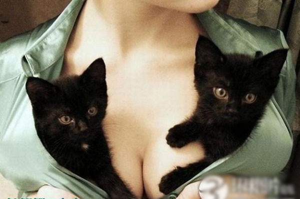 ��Ů������������ĳ����˹���ͼ�� ������ذ�(��ͼ)