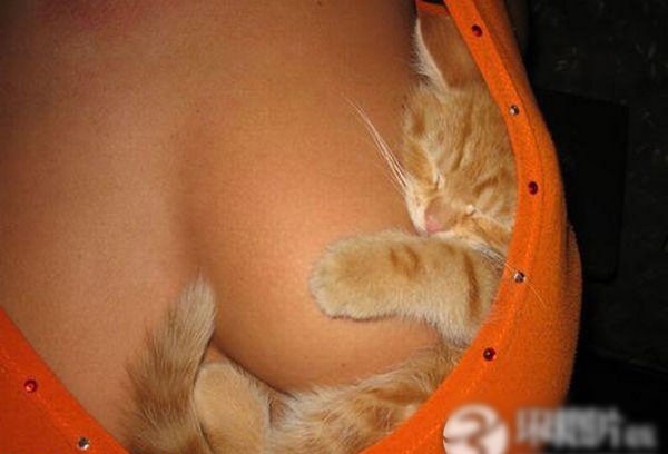 ��Ů������������ĳ����˹���ͼ�� ������ذ�(��ͼ)