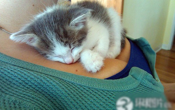 ��Ů������������ĳ����˹���ͼ�� ������ذ�(��ͼ)